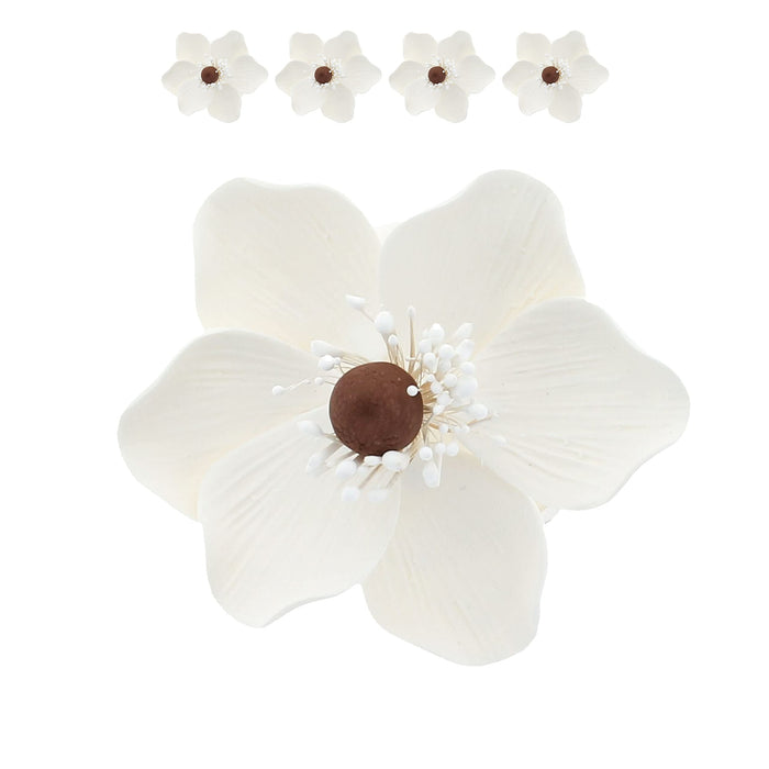 Global Sugar Art Sugar White and Brown Anemone by Chef Alan Tetreault, 4 Count