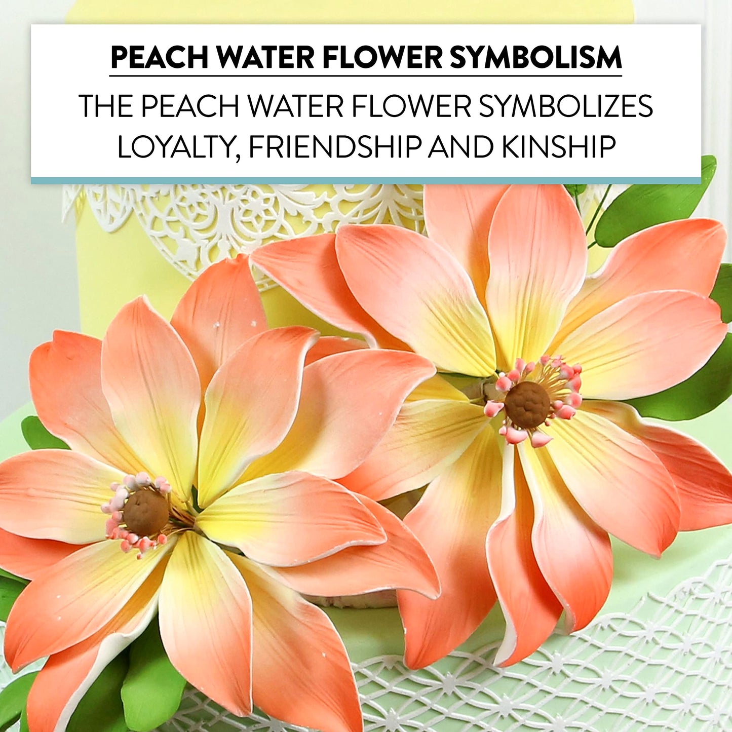 Peach Tranquil Water Flowers, 3 Count