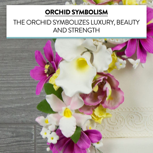 White Cattleya Orchid, Jumbo, 1 Count