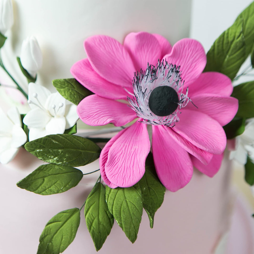 Global Sugar Art Sugar Pink and Black Anemone by Chef Alan Tetreault, 3 Count