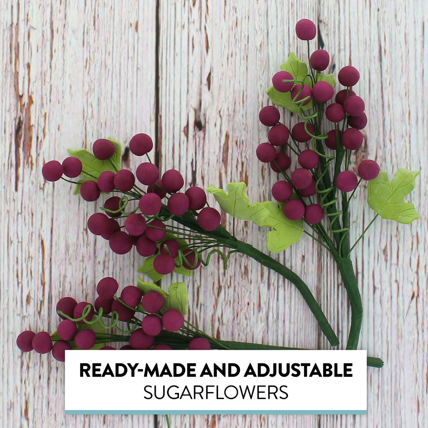 Burgundy Grapes, 3 Count