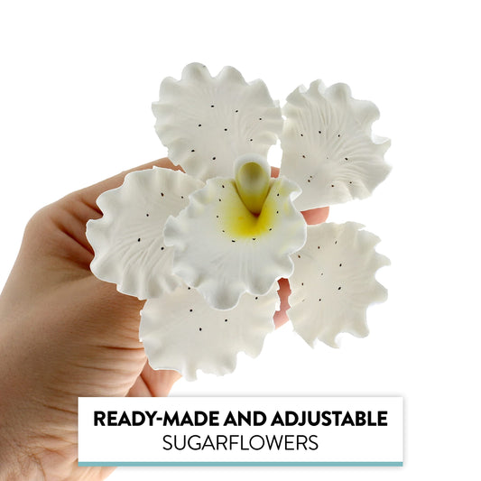 White Speckled Cattleya Orchids, 3 Count