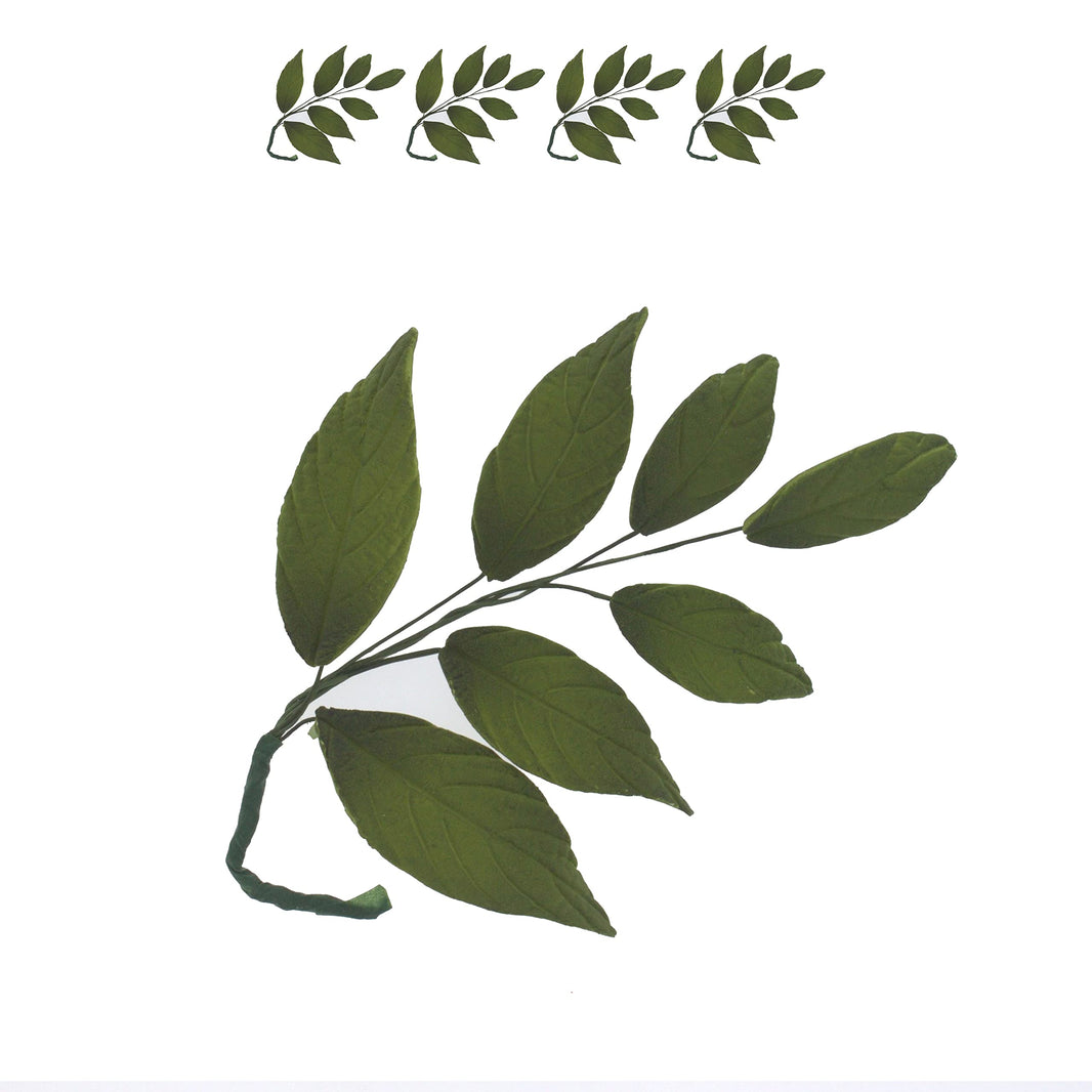 Dark Green Leaf Spray Cake Decoration by Chef Alan Tetreault, Global Sugar Art, 4 Count