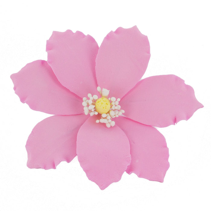 Clematis Gum Paste Sugar Cake Flowers by Global Sugar Art, Pink, 3 Count