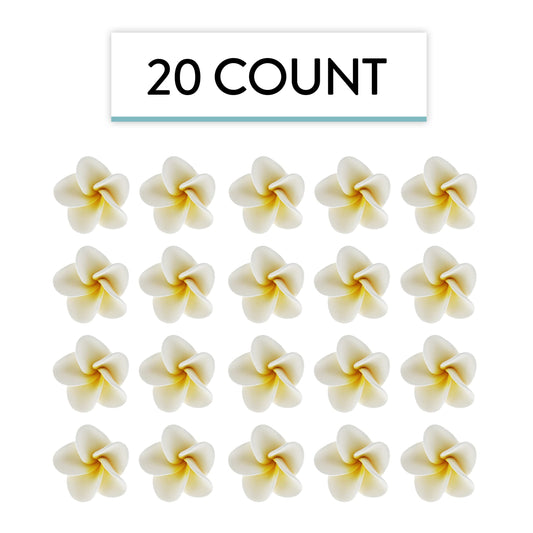 White Frangipani Plumeria, 20 Count