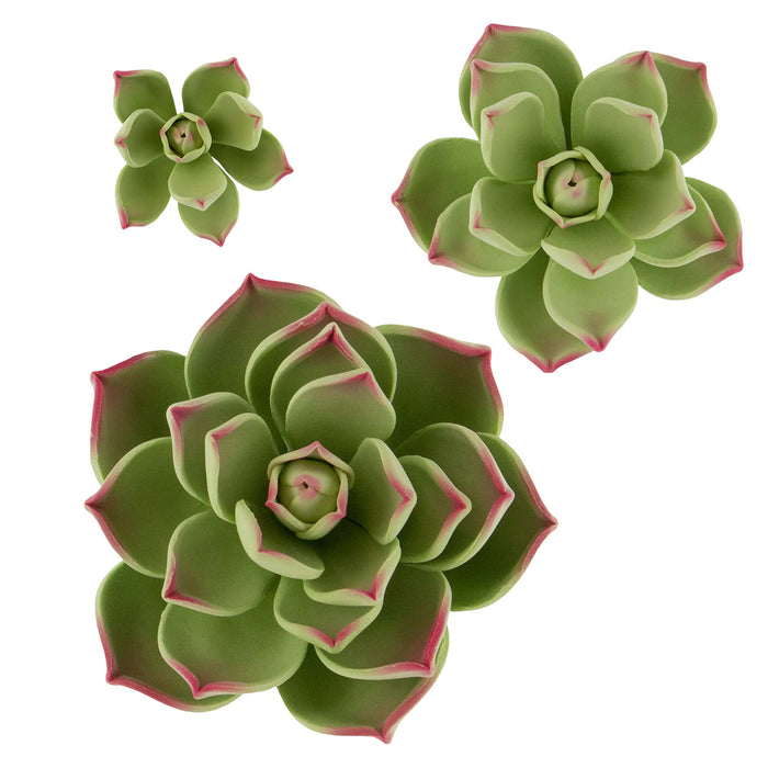 Global Sugart Art Succulents Parva Assortment Sugar Cake Flowers, 3 Count by Chef Alan Tetreault