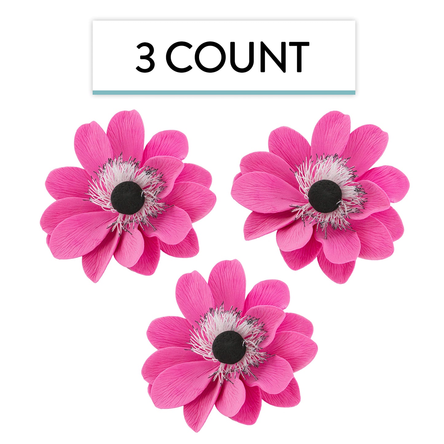 Pink and Black Anemone, 3 Count