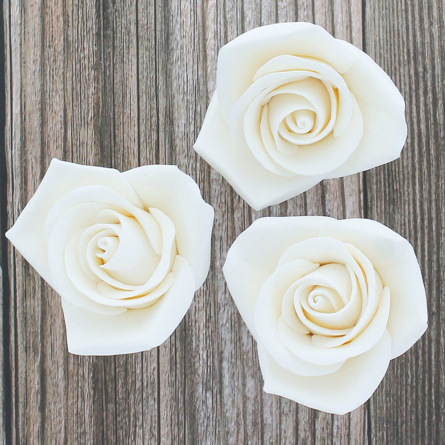 White Peace Rose — PREVIEW