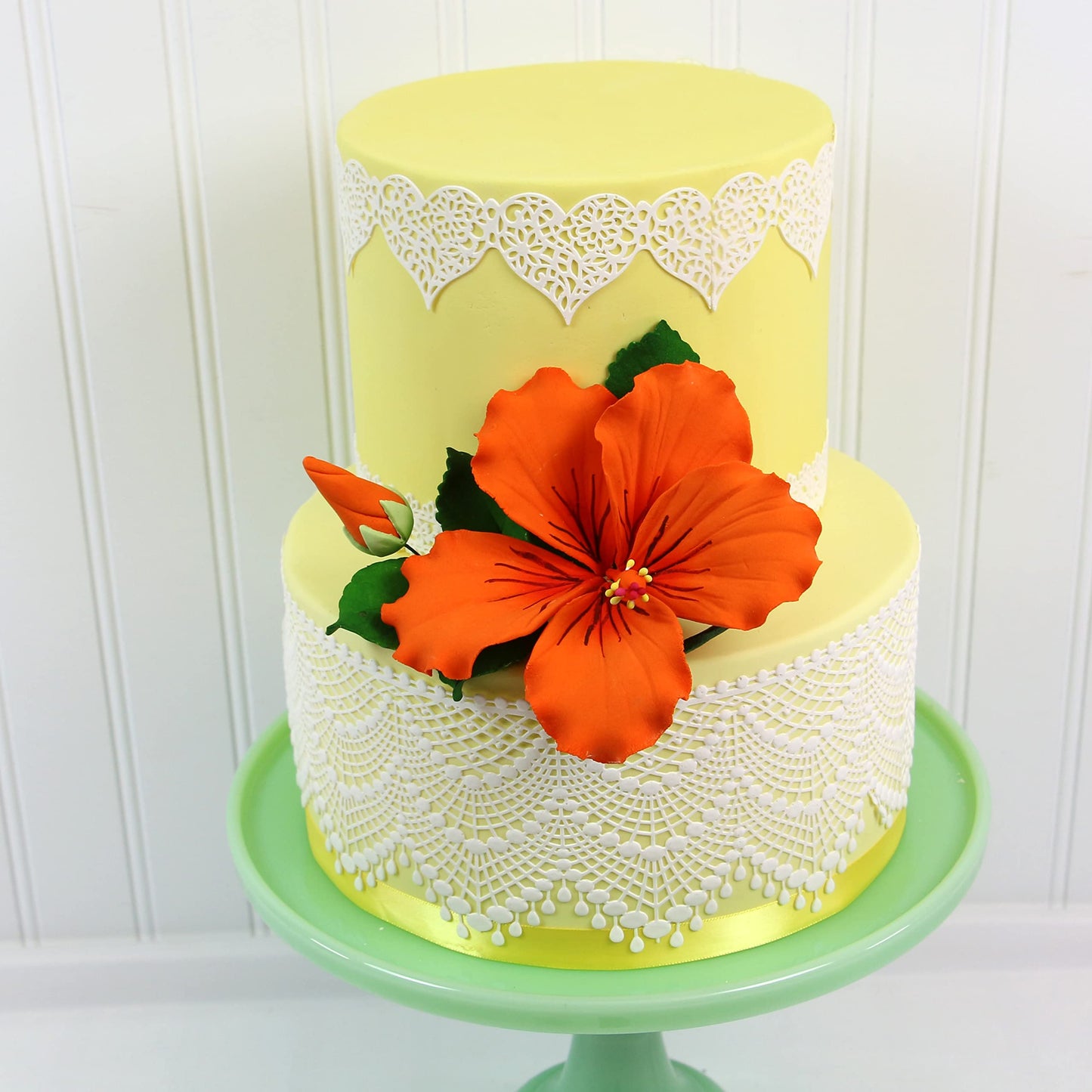 Orange Tropical Hibiscus with Leaves