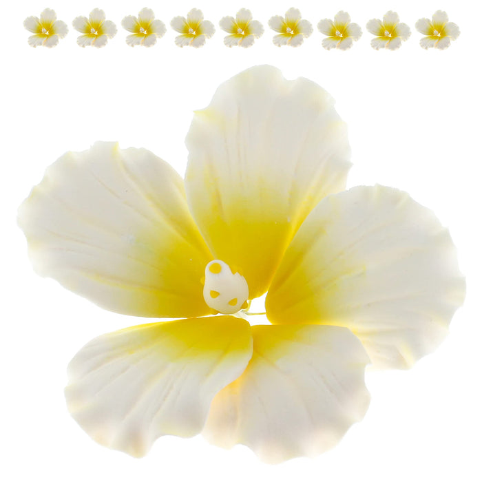 Hibiscus Sugar Cake Flowers, White and Yellow Tropical Sugar Flowers, by Global Sugar Art