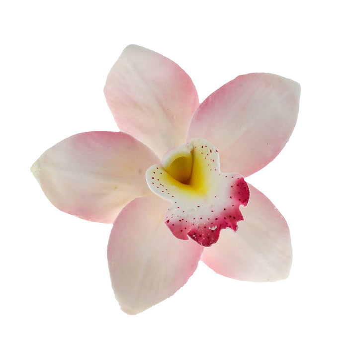 Orchid Sugar Cake Flowers, Cymbidium Orchids, by Global Sugar Art, Pink, 3 Count