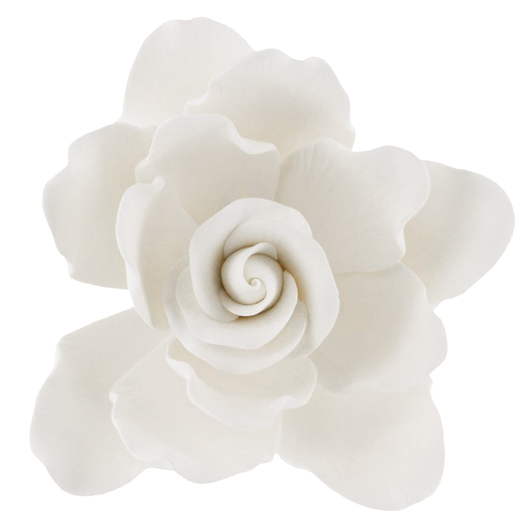 Gardenia Sugar Cake Flowers, Jumbo, White, 1 Count by Global Sugar Art