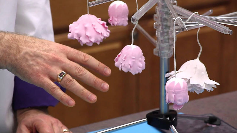 making-a-gumpaste-peony