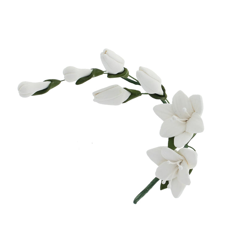 Freesia