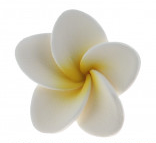 Frangipanis