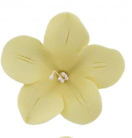 Fruit Blossoms