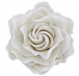 Gardenias