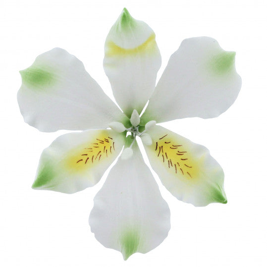Alstroemerias