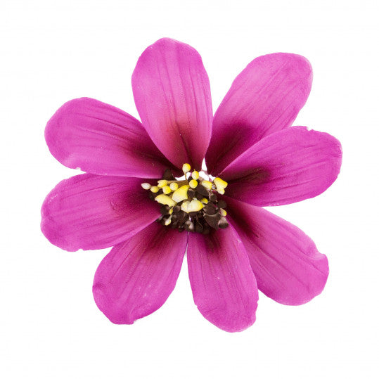 Cosmos