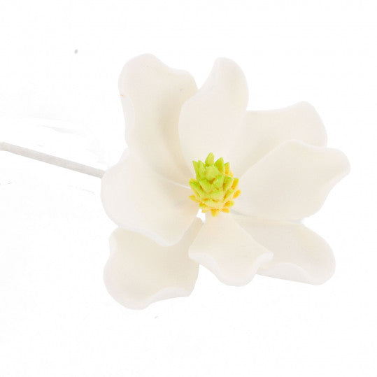 Magnolias