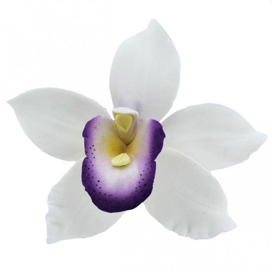 Orchids