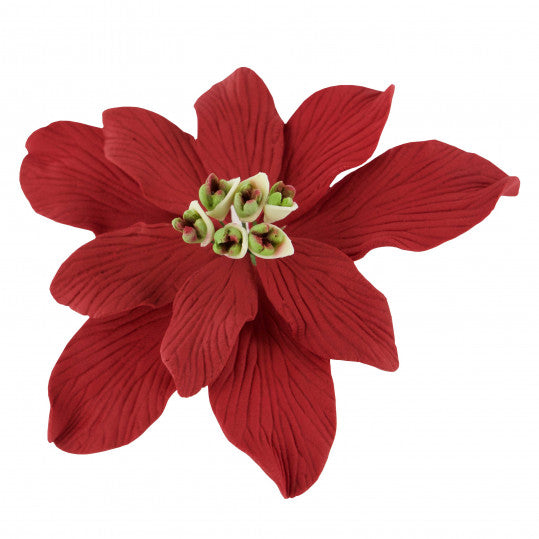 Poinsettias