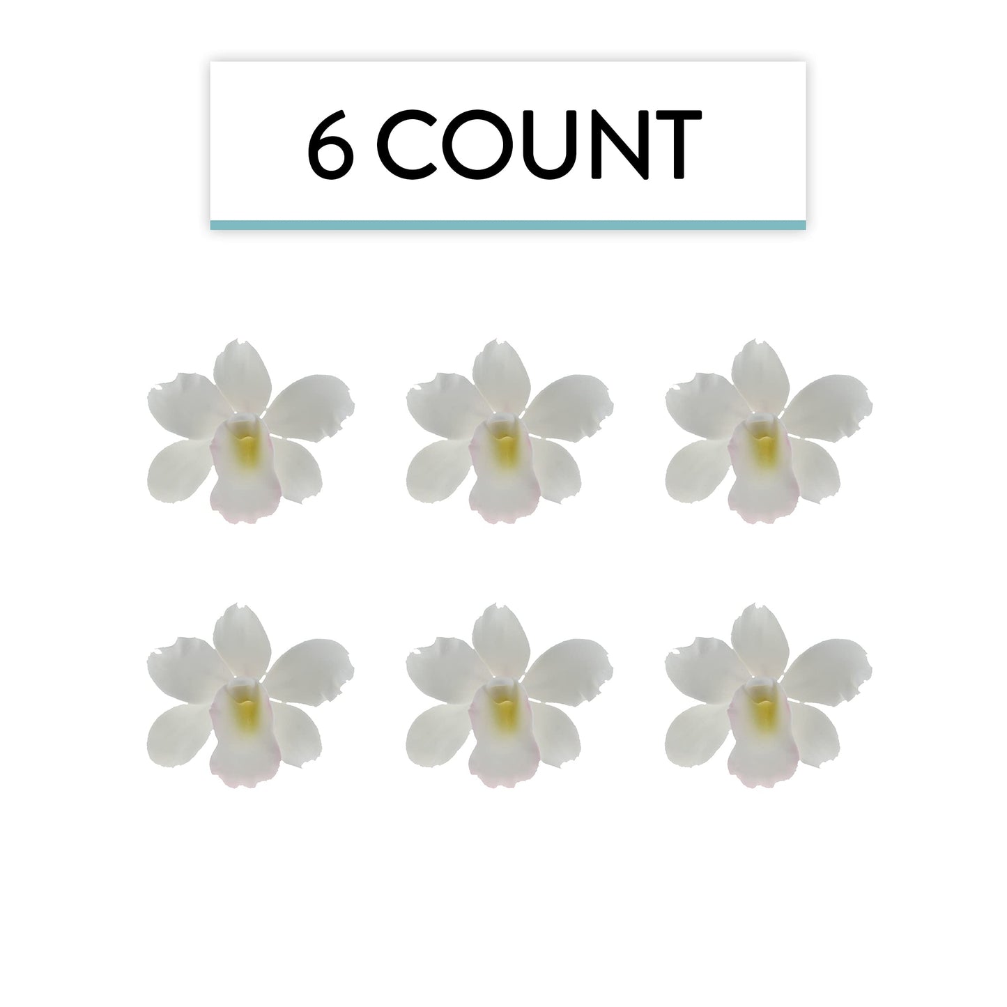 White Pearly Orchids, Small, 6 Count