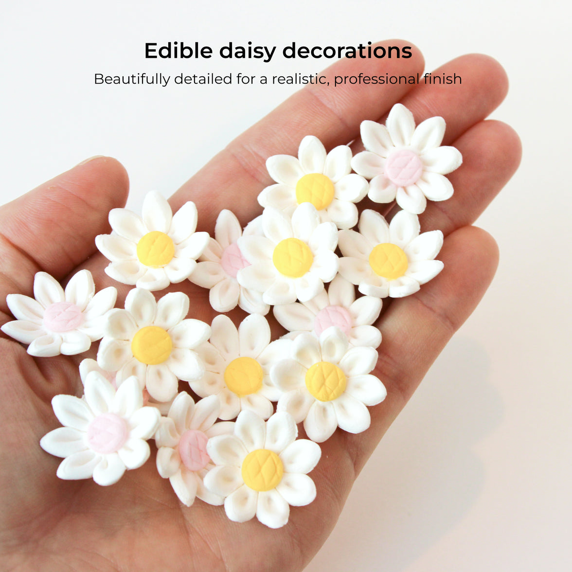 Edible Daisy Cake Decorations, White and Pink Sugar Flowers, Unwired 3/4 Inch, Daisy Cupcake Toppers, Edible Flowers Cake Decorations by Chef Alan Tetreault, Global Sugar Art