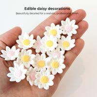 Edible Daisy Cake Decorations, White and Yellow Sugar Flowers, Unwired 3/4 Inch, Daisy Cupcake Toppers, Edible Flowers Cake Decorations by Chef Alan Tetreault, Global Sugar Art