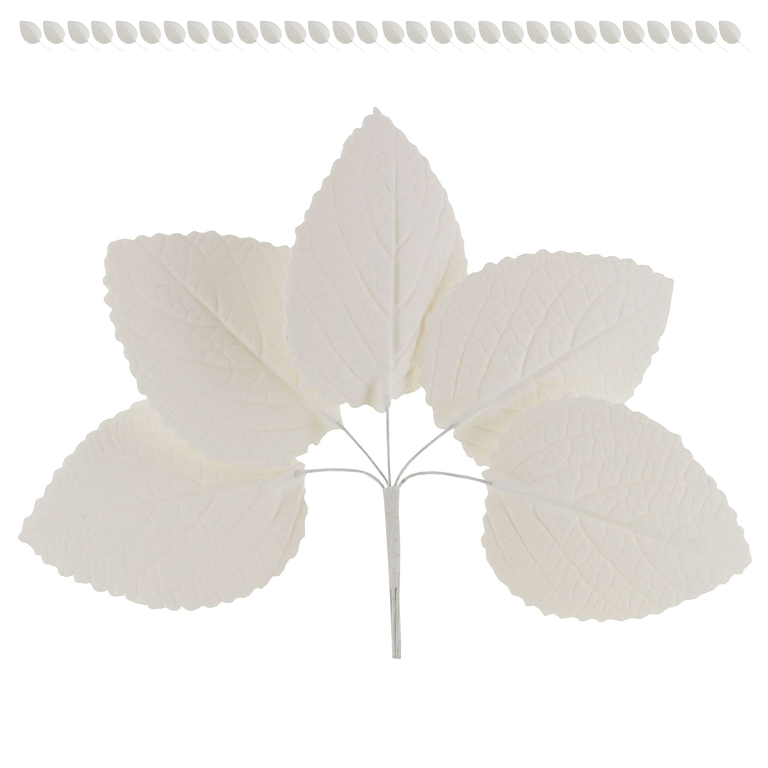 Hydrangea Leaves, Gum Paste Cake Decorations by Global Sugar Art, White, Multiple Sizes