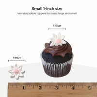 Edible Daisy Cake Decorations, White and Pink Sugar Flowers, Unwired 1 Inch, Daisy Cupcake Toppers, Edible Flowers Cake Decorations by Chef Alan Tetreault, Global Sugar Art