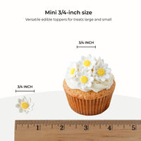 Edible Daisy Cake Decorations, White and Yellow Sugar Flowers, Unwired 3/4 Inch, Daisy Cupcake Toppers, Edible Flowers Cake Decorations by Chef Alan Tetreault, Global Sugar Art