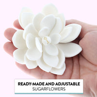 Global Sugar Art Succulent Opalina Sugar Cake Flowers White with Wire, 3 Count by Chef Alan Tetreault