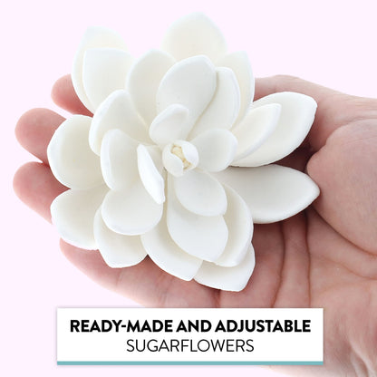 White Opalina Succulent, 3 Count