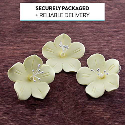 Global Sugar Art Fruit Blossom Sugar Cake Flowers by Chef Alan Tetreault