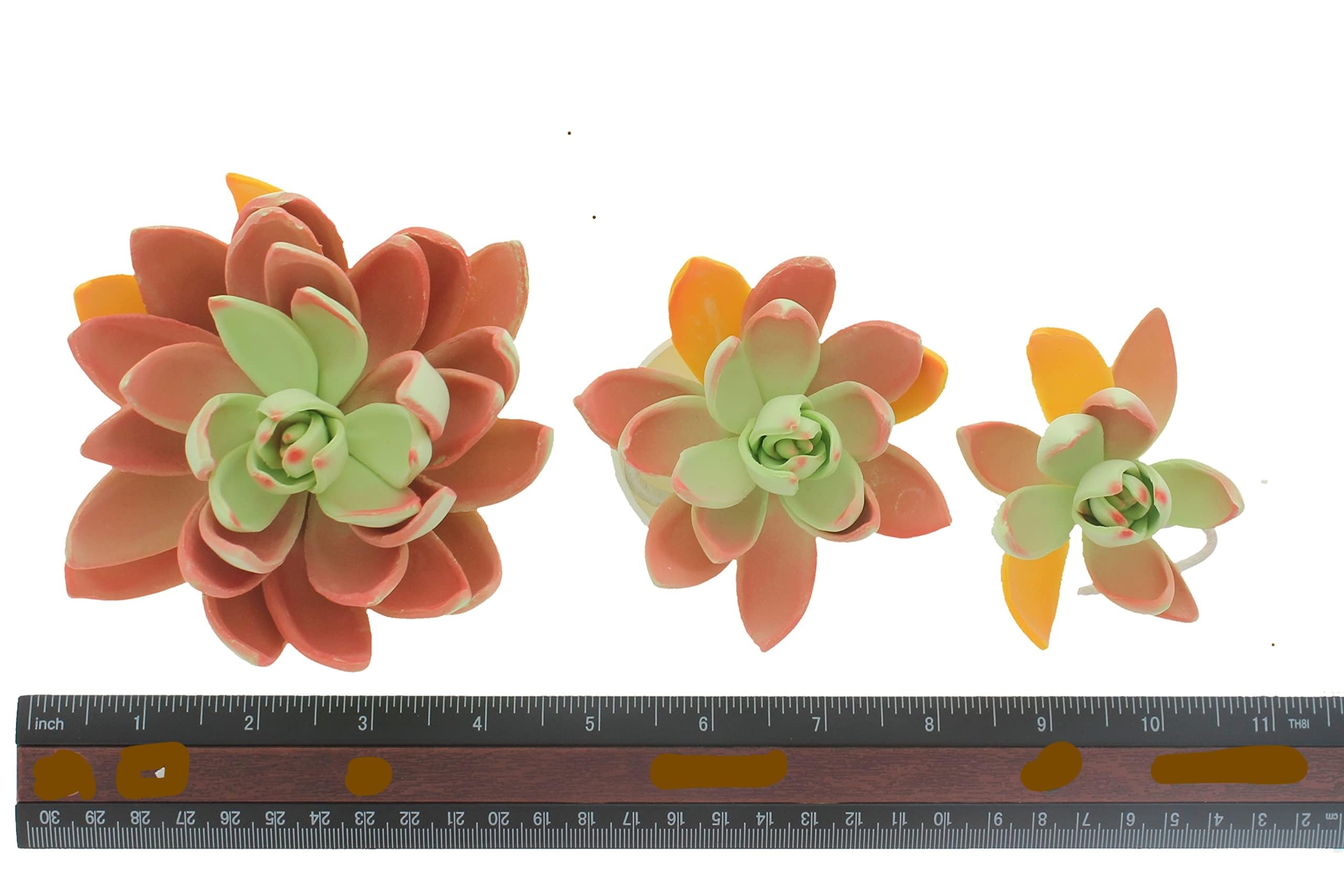 Global Sugar Art Succulent Lipstick Assortment Sugar Cake Flowers, 3 Count by Chef Alan Tetreault