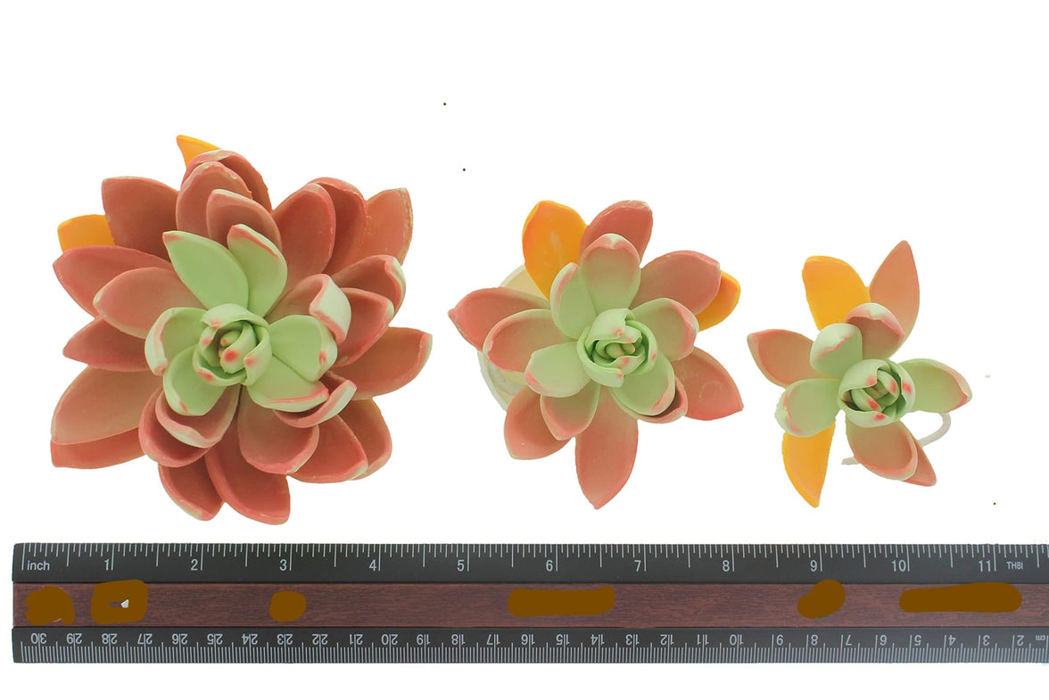 Global Sugar Art Succulent Lipstick Assortment Sugar Cake Flowers, 3 Count by Chef Alan Tetreault