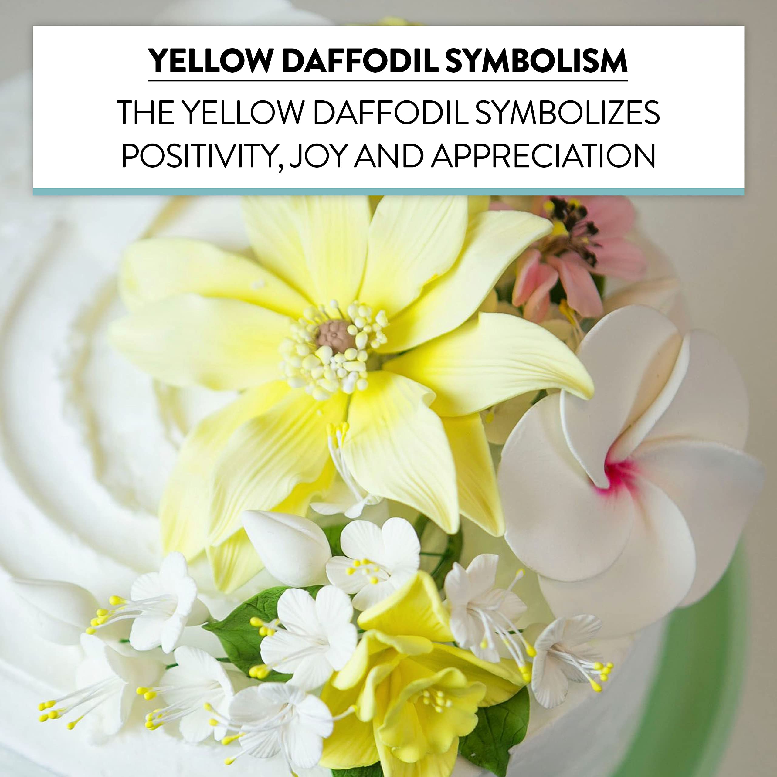 Daffodil Sugar Cake Flowers by Global Sugar Art, Yellow, 6 Count