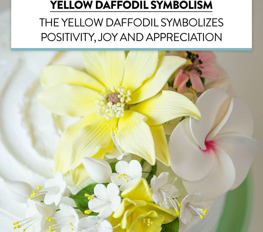 Daffodil Sugar Cake Flowers by Global Sugar Art, Yellow, 6 Count
