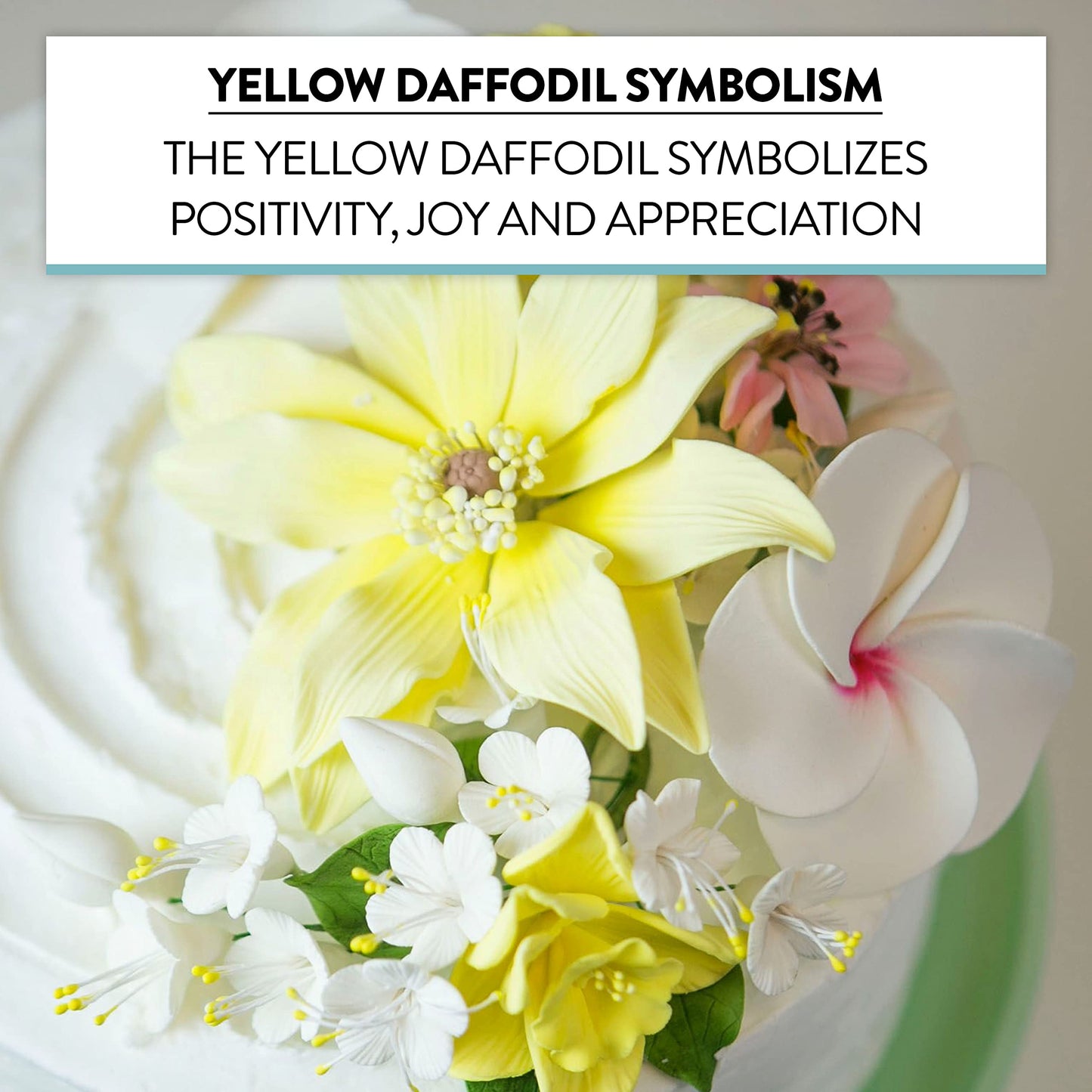 Yellow Daffodil, 6 Count