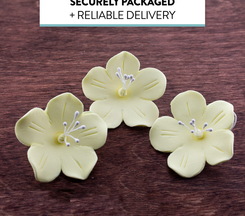 Global Sugar Art Fruit Blossom Sugar Cake Flowers by Chef Alan Tetreault