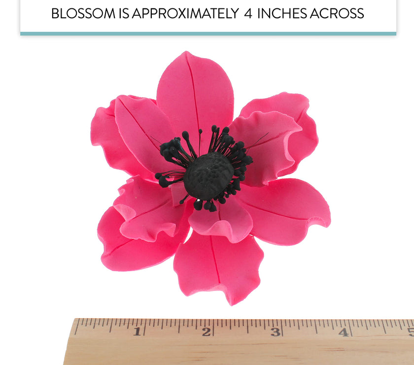 Global Sugar Art Sugar Hot Pink and Black Anemone by Chef Alan Tetreault, 3 Count
