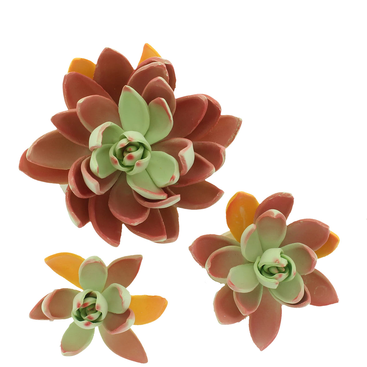 Global Sugar Art Succulent Lipstick Assortment Sugar Cake Flowers, 3 Count by Chef Alan Tetreault