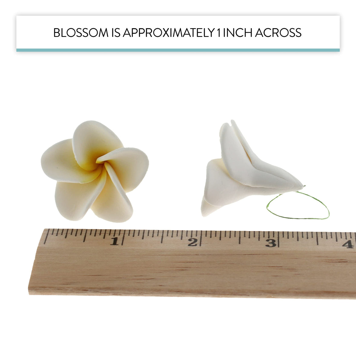 Global Sugar Art Tropical Frangipani Plumeria Sugar Cake Flowers, White 20 Count by Chef Alan Tetreault