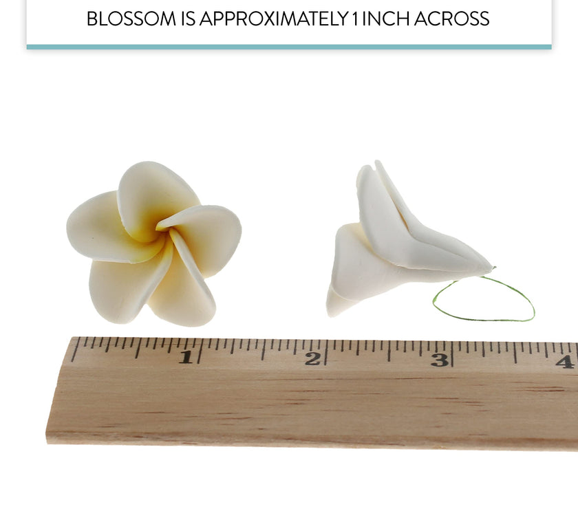 Global Sugar Art Tropical Frangipani Plumeria Sugar Cake Flowers, White 20 Count by Chef Alan Tetreault