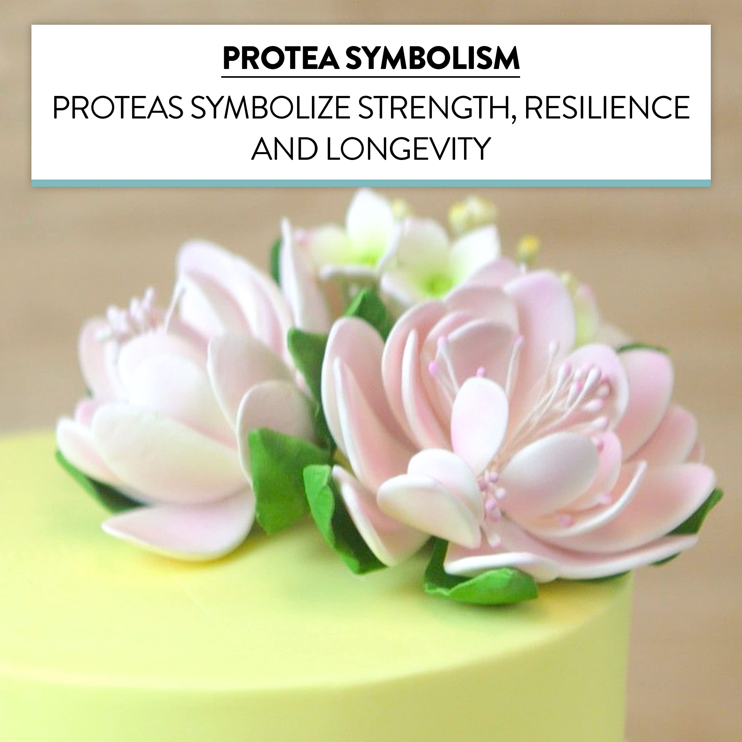 Protea Sugar Cake Flowers by Global Sugar Art, Medium Pink. 3 Count