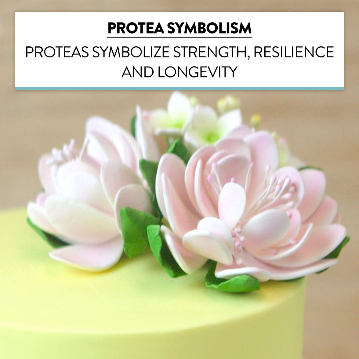 Protea Sugar Cake Flowers by Global Sugar Art, Medium Pink. 3 Count