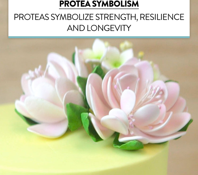 Protea Sugar Cake Flowers by Global Sugar Art, Medium Pink. 3 Count