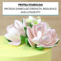 Protea Sugar Cake Flowers by Global Sugar Art, Medium Pink. 3 Count