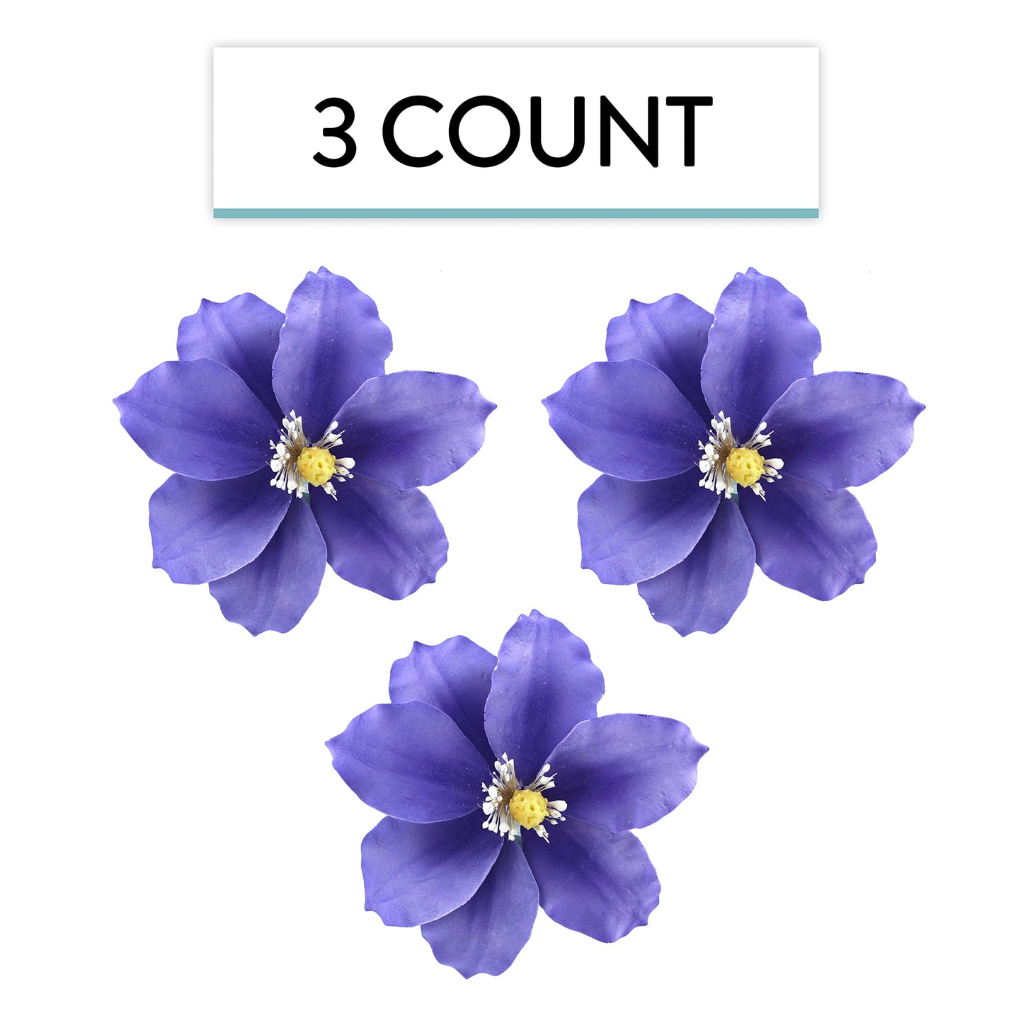 Purple Clematis, 3 Count